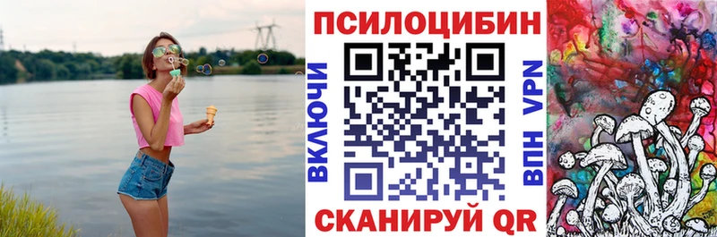 цена наркотик сайты даркнета телеграм Галлюциногенные грибы GOLDEN TEACHER Ярославль