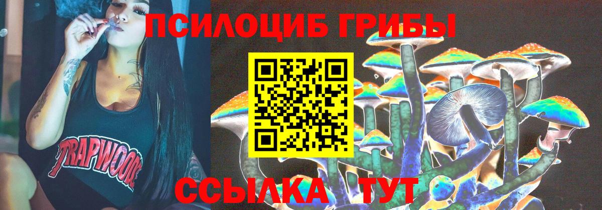 Псилоцибиновые грибы Psilocybe Ярославль